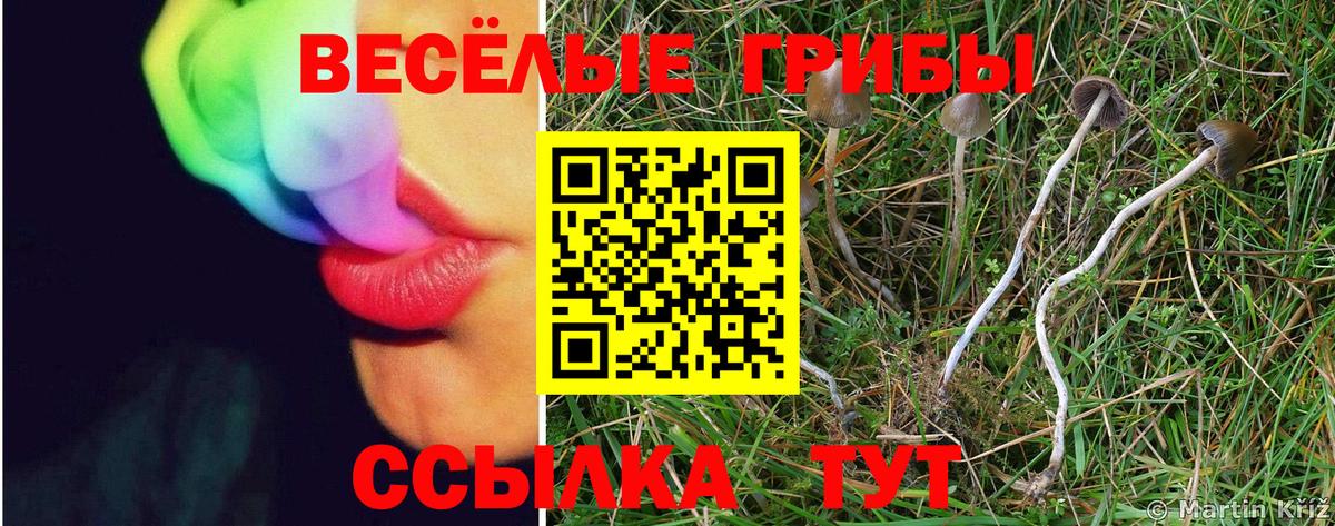 Галлюциногенные грибы мухоморы  Вход с VPN  Ухта 