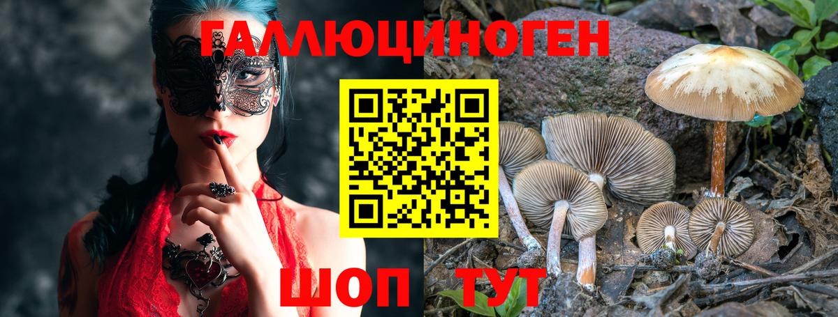 Бошки Шишки  Ухта  МЕФ   ГАШ  Вход с VPN 