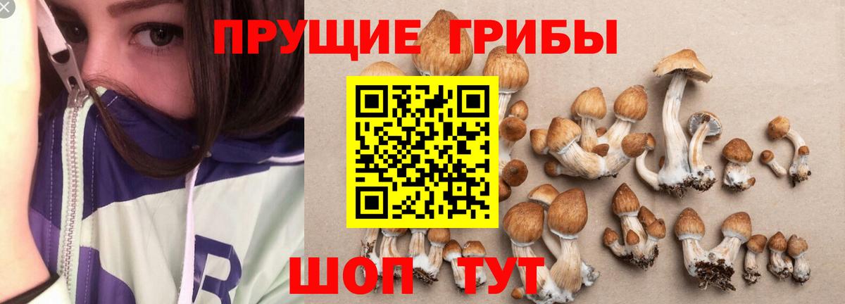 Галлюциногенные грибы мицелий Ухта